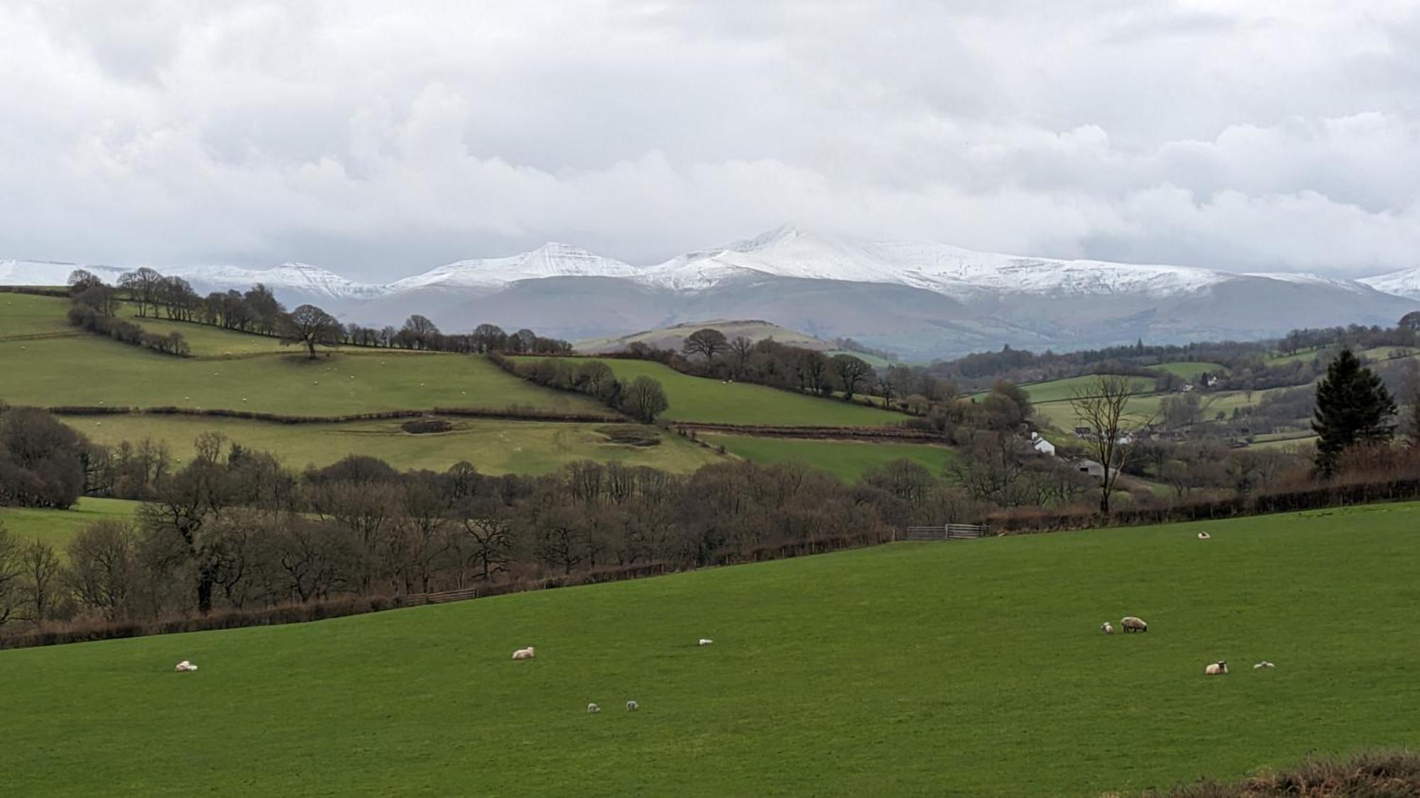 Vale Farm Cottages 布雷肯 外观 照片